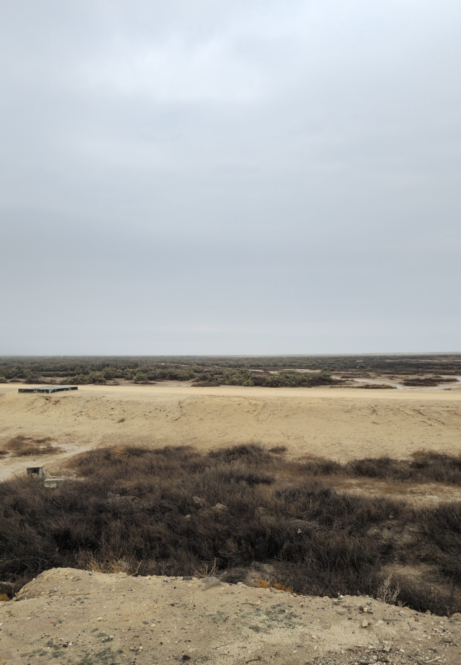 正月のブルース