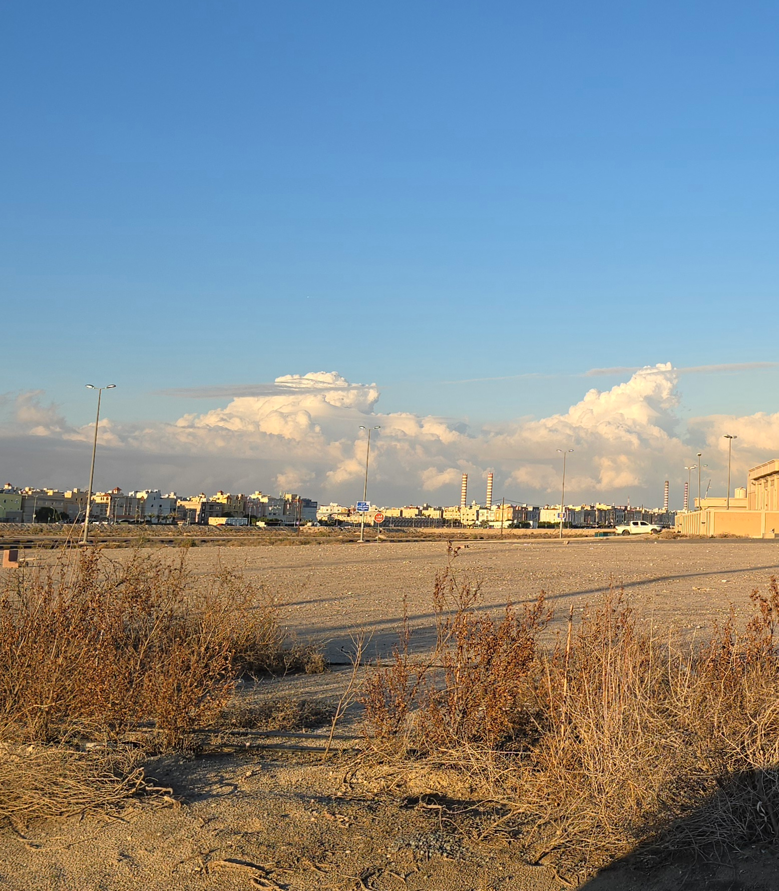 ワダハばあちゃんの手